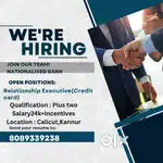 RELATIONSHIP EXECUTIVE