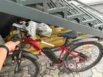 Emotorad Electric cycle