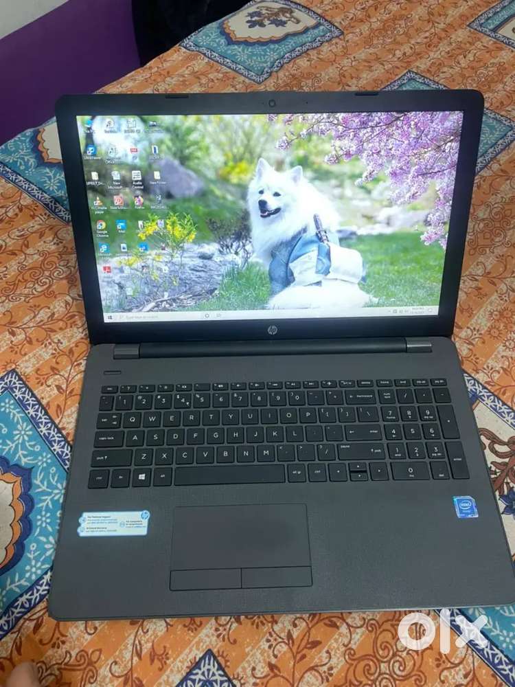 Hp Laptop  (Gray)