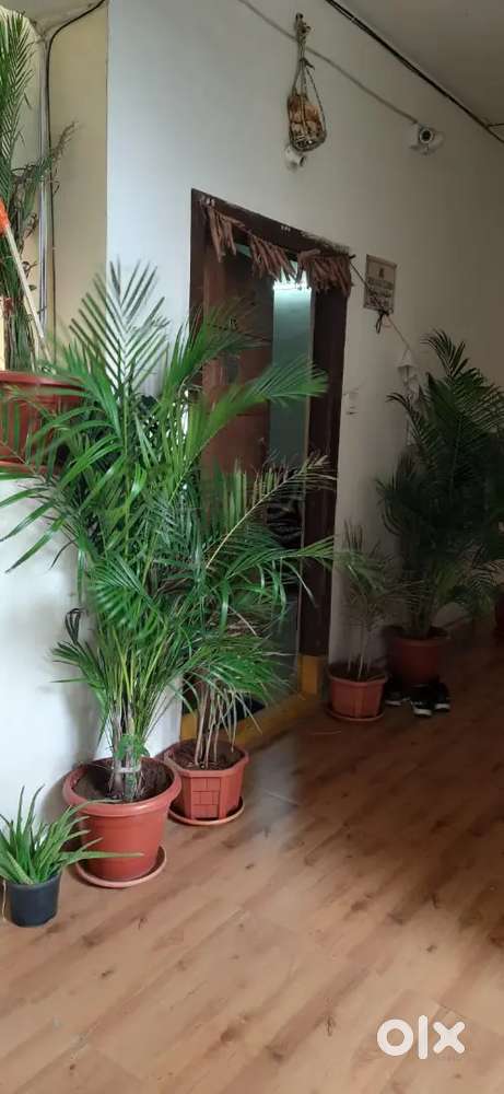 2BHK flat for rent (Rent including Maintenance)