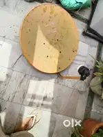 Dish plate