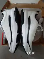 Air Max AP - UK 11,  UA SC 3Zero UK 12 & WF - 1000XM3 earphones