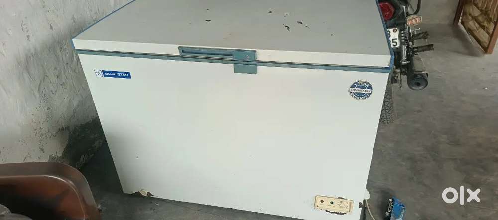 300 ltr D freeze Blue Star in good condition