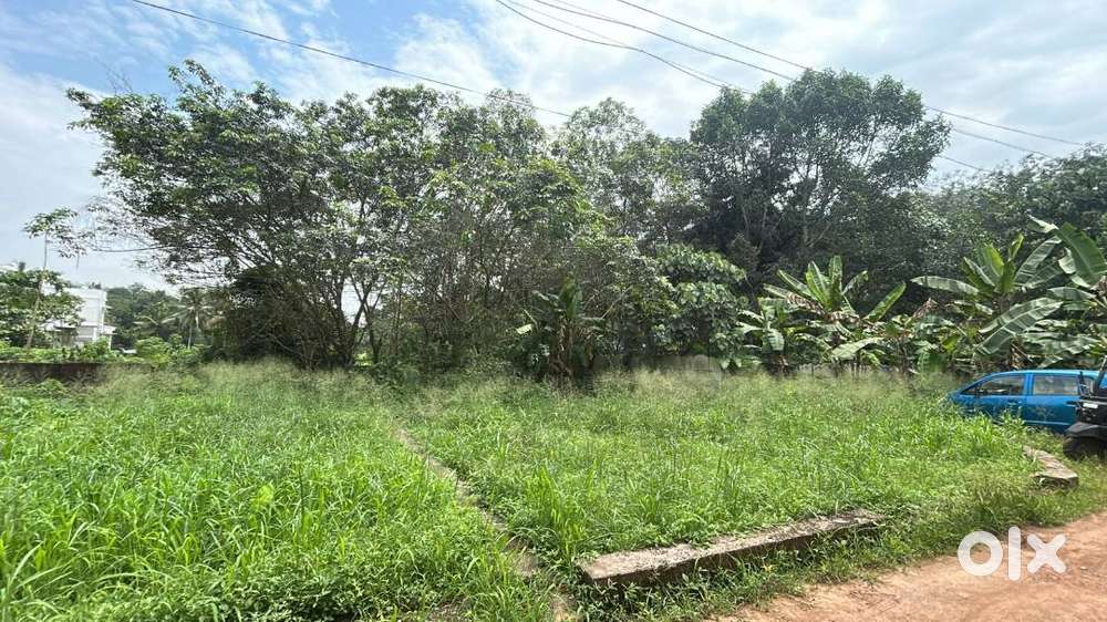 HOUSE PLOT FOR SALE