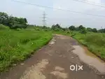 Agriculture Land for Sale – Goveli Village  30 Guntha  Clear Title
