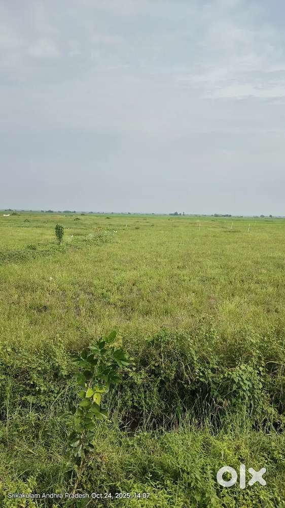 1000 acres land
