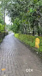Land for sale in Puthenkurish