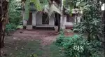13 സെന്റ സ്ഥലവും വാർത്തവിടും വില്പനക്ക / Plot With House For Sale