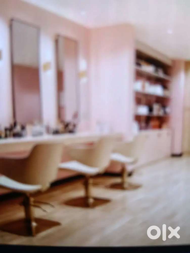 Wanted saloon experts