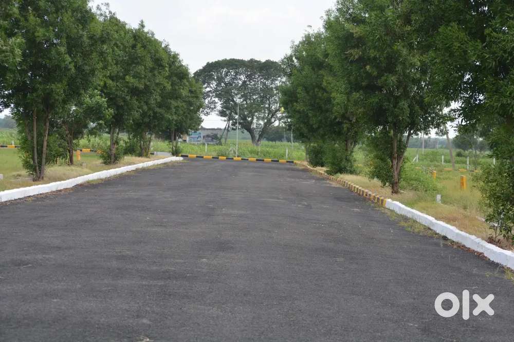 Plot for sale in Narasaraopet, full load available