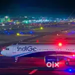 Cabin crew/Airport Ground Staff Jobs in Indigo limited vacancy Apply
