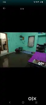 One Female Sharing roommate