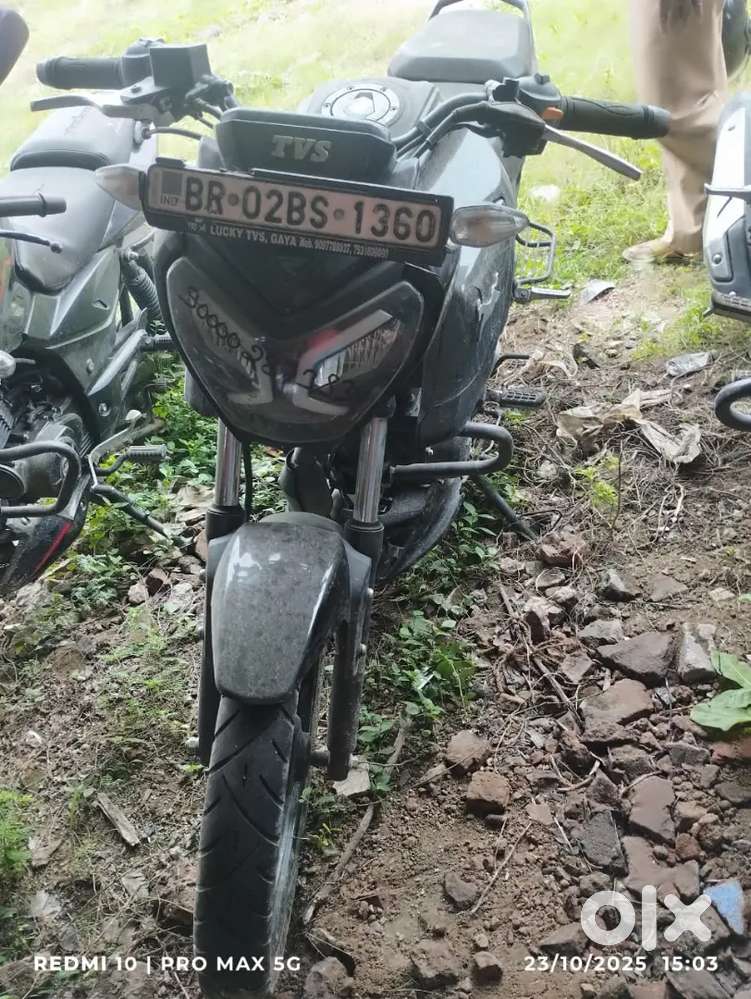 TVs rider 10 month old