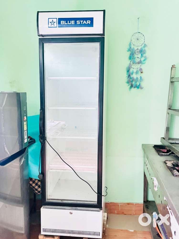 Blue star sc 500f visi cooler