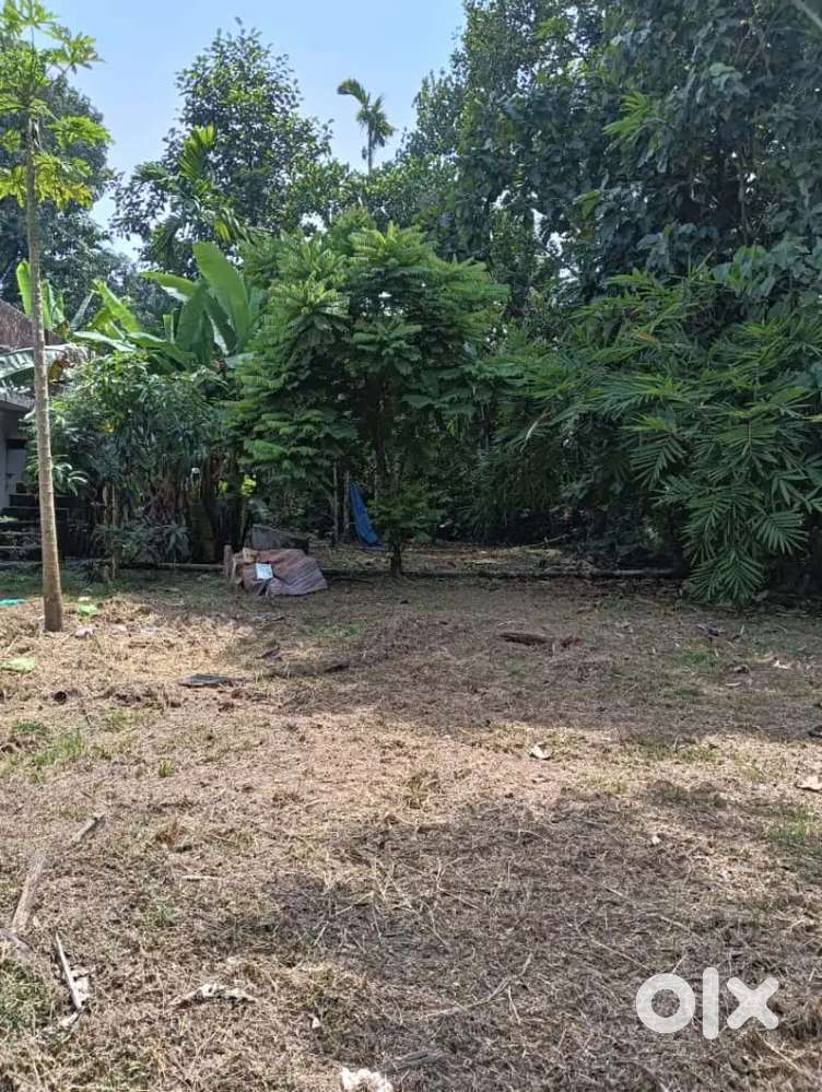 Angamaly Karayamparamb 14 cent individual plot for sale  loan