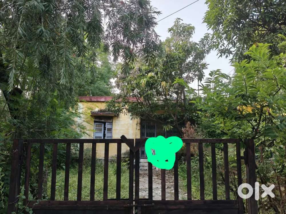 Need a working single girl