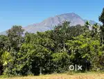 One Acre Resort/Villa project land@Wayanad,Banasura sagar dam