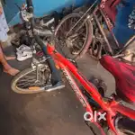 Single speed bicycle