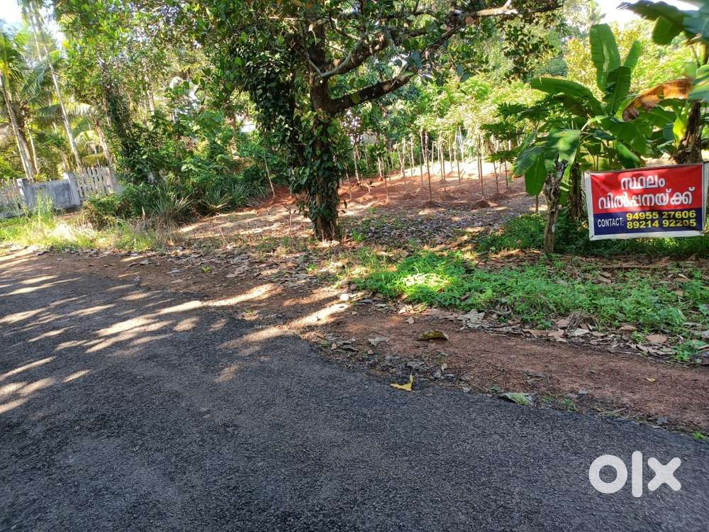 Road facing corner plot for sale in KANNIKARA,chalakudyThrissur Kerala