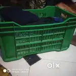 Vegetable carrot