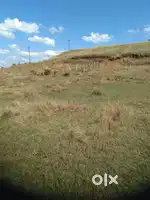 NA Plot for Sale- Puikhadi, Kolhapur.