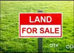 5 Bigha 3 Katha miyadi land sale