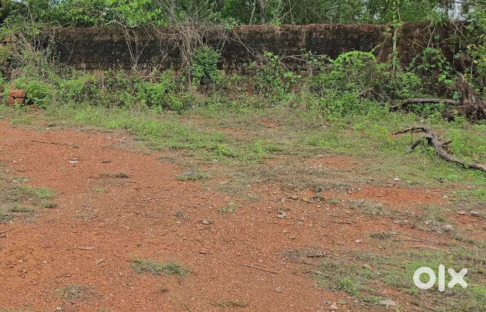 Plane land 33 cent at krishanagar kumbla