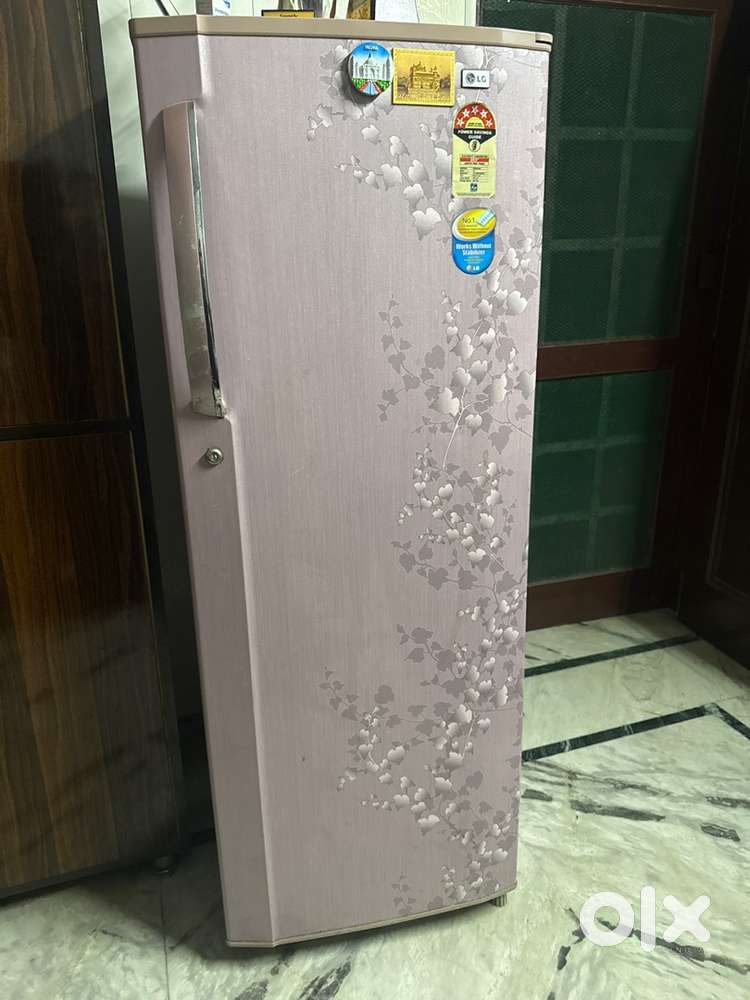 LG fridge single door