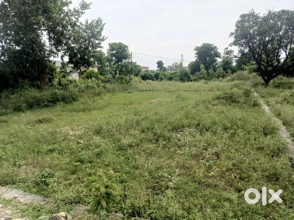 Residential Plot at Badowala