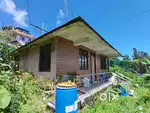 Single floor independent house