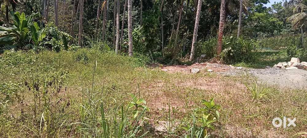 Urgent plot for sale