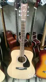 Buy Brand New Yamaha Guitar Cheaper Then Online at Trs