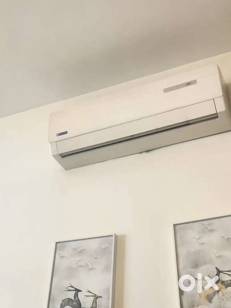 Bluestar 1.5 ton 5 Star split AC