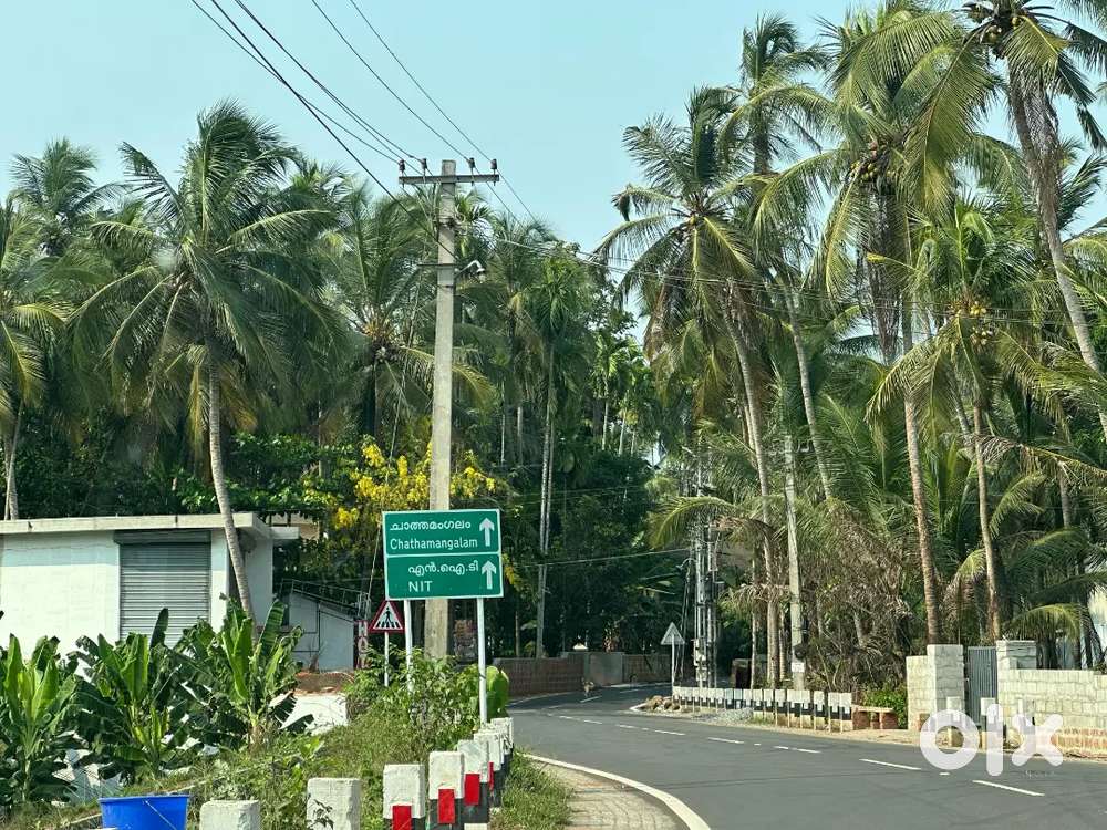 6 Acre Plot for Rent - Road Side-  Chettikadav