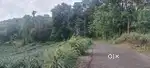 112 cent land tar road face 38 lak only urgent sale