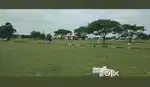 DTCP Approved Plots for Sale-Investment Plots- Upcoming Prime Location