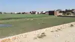 Tri Agro Projects Face 4