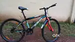 Bicycle for sale