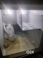 Mini refrigerators