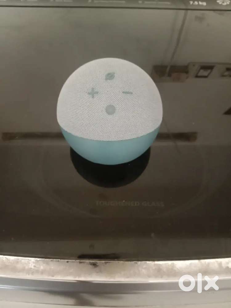 Unused Alexa echo