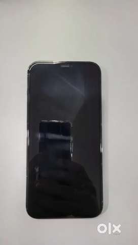 IPHONE 12 PRO MAX