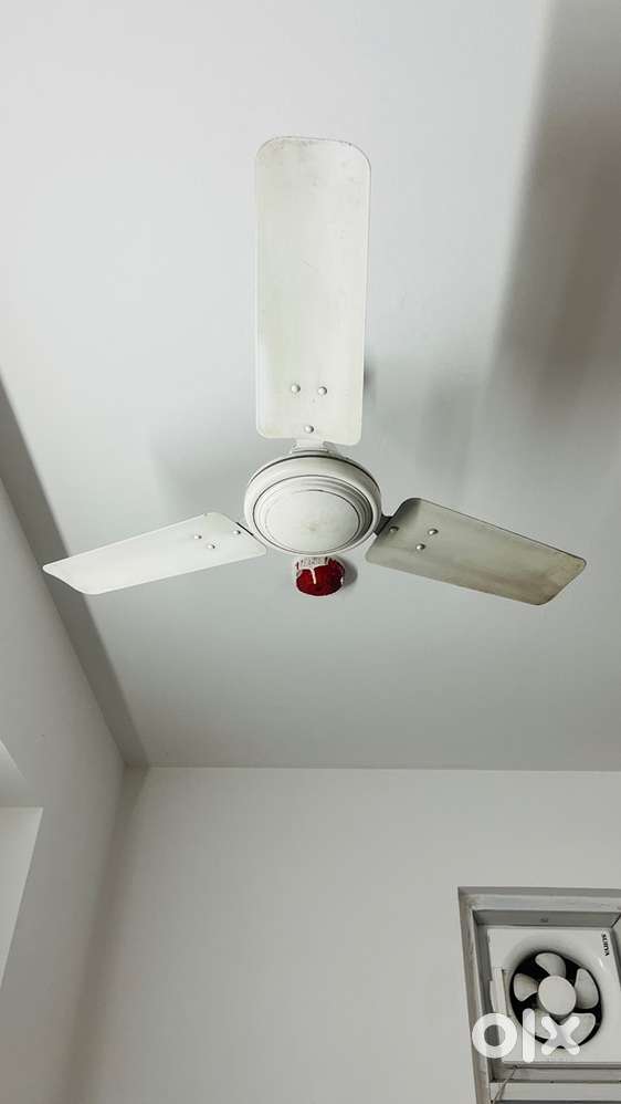 Excellent Condition - 2 White Usha Fans for Sale