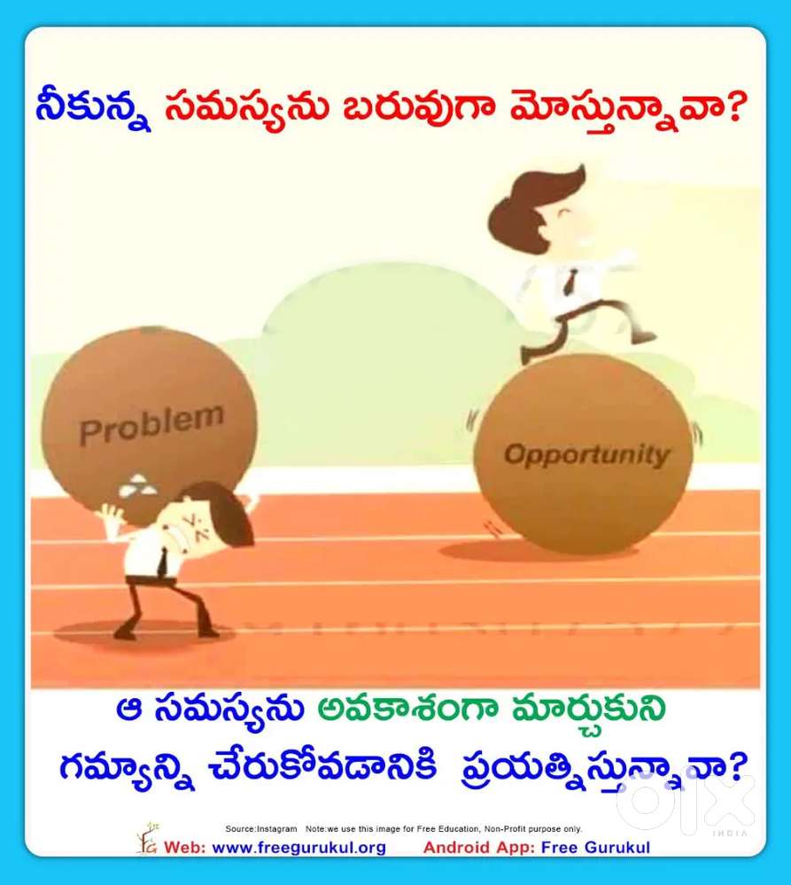 Coconut marketing n pooja stores