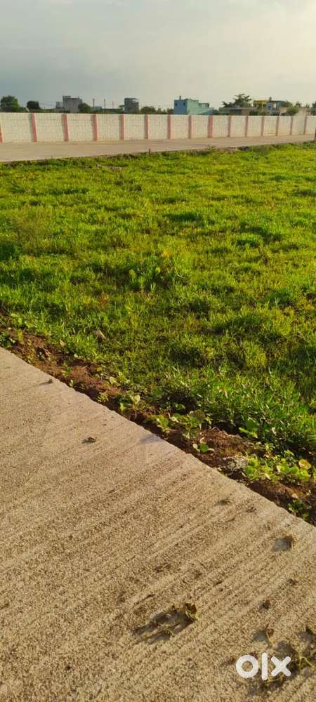 मैं अपनी ज़मीन बेचना चाहता हूँ