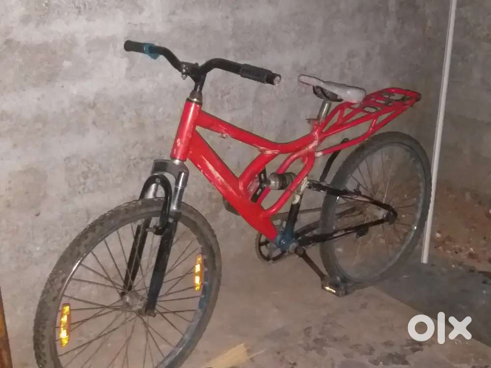 Cycle red color