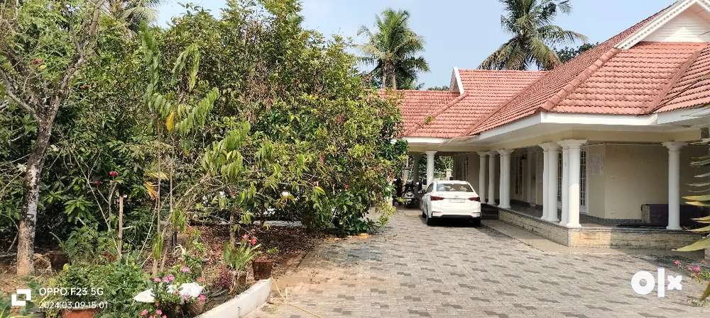 Muvatupuzha aavoli 38cent land 4000sqft house for sale
