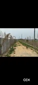 Limited plots vo bhi sirf 8500 rupee gaj limited plots are available
