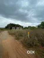 Plot in theni