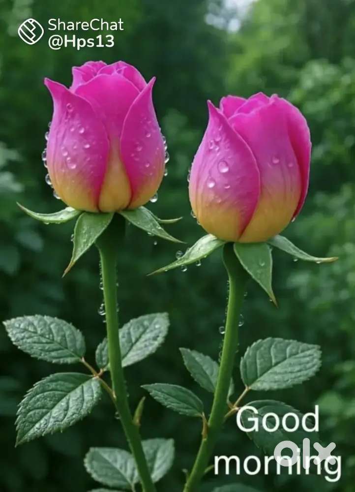 I need work from bathinda