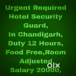 Security Jobs chandigarh 60
